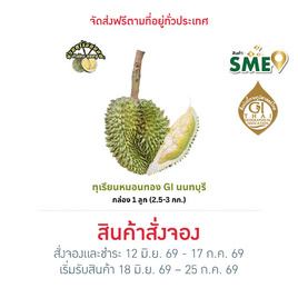 สวนทุเรียนนนท์ ป้าต้อย-ลุงหมู ทุเรียนหมอนทอง GI จ. นนทบุรี 1 ลูก (2.5-3 กก.) - สวนทุเรียนนนท์ ป้าต้อย-ลุงหมู, ผักและผลไม้