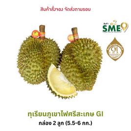 ทุเรียนภูเขาไฟศรีสะเกษหมอนทอง GI 2 ลูก (5.5-6 กก.) - ดีจริง ศรีสะเกษ, อาหารสดพร้อมส่งถึงบ้าน