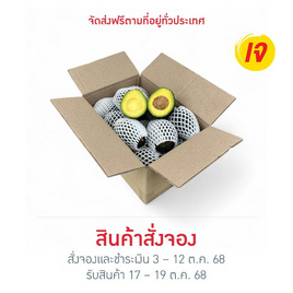 สวนร่มเกล้า อะโวคาโดแฮส GI จ. ตาก 3 กิโลกรัม - สวนร่มเกล้า, สินค้าโปรโมชั่น อื่น ๆ