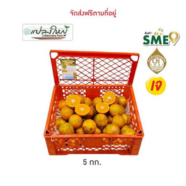 แปลงใหญ่ส้มเขียวหวานที่สูงสะเนียน ส้มสีทอง GI จ. น่าน 5 กิโลกรัม - แปลงใหญ่ส้มเขียวหวานที่สูงสะเนียน