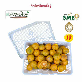 แปลงใหญ่ส้มเขียวหวานที่สูงสะเนียน ส้มสีทอง GI จ. น่าน 5 กิโลกรัม - แปลงใหญ่ส้มเขียวหวานที่สูงสะเนียน, ผลไม้สด