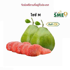 ส้มโอทับทิมสยาม GI ปากพนัง ไร่ทรัพย์สุวรรณ (ไซซ์ M 2 ผล) - ไร่ทรัพย์สุวรรณ, อาหารสด ผัก ผลไม้และเบเกอรี่