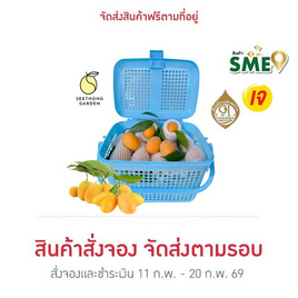 สวนศรีทอง มะยงชิดพันธุ์ทูลเกล้า GI จ.นครนายก ไซซ์ XL (16-18 ลูก/กก.) - สวนศรีทอง, ผักและผลไม้