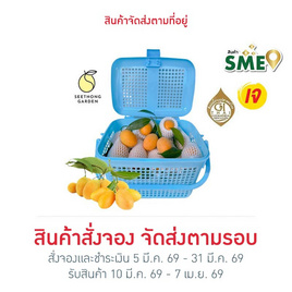 สวนศรีทอง มะยงชิดพันธุ์ทูลเกล้า GI จ.นครนายก ไซซ์ XL (16-18 ลูก/กก.) - สวนศรีทอง, อาหารสด ผัก ผลไม้และเบเกอรี่