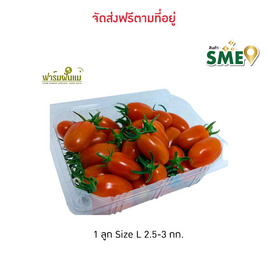 ฟาร์มฝันแม่ มะเขือเทศ King Fisher - ฟาร์มฝันแม่, อาหารสด ผัก ผลไม้และเบเกอรี่