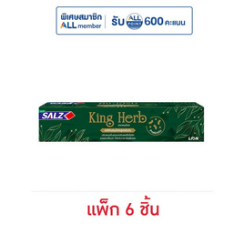 ซอลส์ ยาสีฟันสมุนไพร King Herb 40 กรัม (แพ็ก 6 ชิ้น) - SALZ, ผลิตภัณฑ์ดูแลช่องปากและฟัน