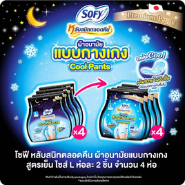 โซฟี หลับสนิทตลอดคืนแบบกางเกง คูล L ห่อละ 2 ชิ้น (แพ็ก 4 ห่อ) - Sofy, สำหรับผู้หญิง