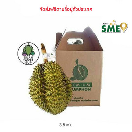 สวนทวีทรัพย์ ทุเรียนหมอนทอง ไซส์ M กล่อง 3.5 กก. - สวนทวีทรัพย์ จ.ชุมพร, ซูเปอร์มาร์เก็ต