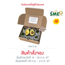 สวนร่มเกล้า อะโวคาโดพันธุ์แฮส Premium กล่อง 8 ลูก - สวนร่มเกล้า, อาหารสด ผัก ผลไม้และเบเกอรี่