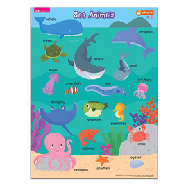 โปสเตอร์พลาสติก Sea Animals - เอ็มไอเอส, สื่อเสริมพัฒนาการ