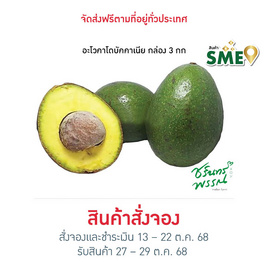 ไร่ชรินทร์พรรณ อะโวคาโด บัคคาเนีย (Size 3-5 ลูก/kg.) ฮาโลวีน - ไร่ชรินทร์พรรณ, อาหารสด ผัก ผลไม้และเบเกอรี่