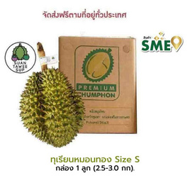 ทุเรียนหมอนทอง Size S 1 ลูก (2.5-3 กก.) สวนทวีทรัพย์ จ.ชุมพร - สวนทวีทรัพย์ จ.ชุมพร, ผลไม้สด