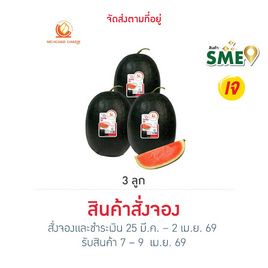 ณิชชา ชามม์ แตงโม Thump up Size Jumbo กล่อง 3 ลูก (4.2-5 กก./ลูก) - ณิชชา ชามม์