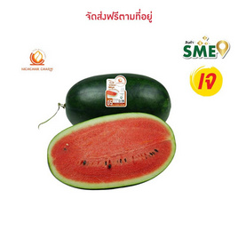ณิชชาชามม์ แตงโม Torpedo Meya กล่อง 1 ลูก - ณิชชาชามม์, ผักและผลไม้