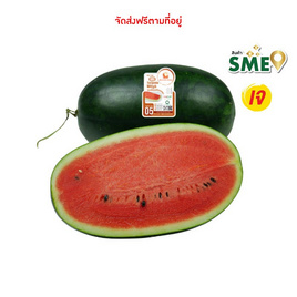 ณิชชาชามม์ แตงโม Torpedo Meya กล่อง 1 ลูก - ณิชชาชามม์, ผักและผลไม้
