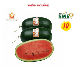 ณิชชาชามม์ แตงโม Torpedo Meya กล่อง 2 ลูก - ณิชชาชามม์