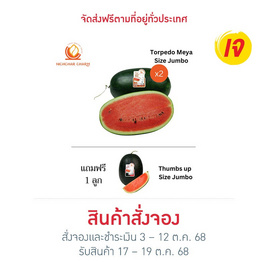 ณิชชาชามม์ แตงโม Torpedo Meya Size Jumbo กล่อง 2 ลูก แถม Thumbs up Size Jumbo 1 ลูก - ณิชชา ชามม์, อาหารสด ผัก ผลไม้และเบเกอรี่
