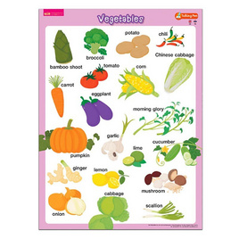 โปสเตอร์พลาสติก Vegetables - เอ็มไอเอส, สื่อเสริมพัฒนาการ