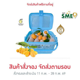 สวนศรีทอง มะยงชิดพันธุ์ทูลเกล้า ไซซ์ XL (16-18 ลูก/กก.) GI จ.นครนายก - สวนศรีทอง, อาหารสดพร้อมส่งถึงบ้าน