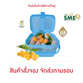 สวนศรีทอง มะยงชิดพันธุ์ทูลเกล้า ไซซ์ XL (16-18 ลูก/กก.) GI จ.นครนายก - สวนศรีทอง, ซูเปอร์มาร์เก็ต