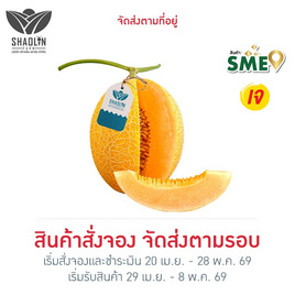 เส้าหลินฟาร์ม เมล่อนเยลโล่สโตน (Yellow Stone) สีส้ม กล่อง 1 ลูก - เส้าหลินฟาร์ม, สินค้าใหม่อาหารสด