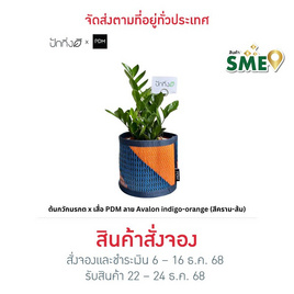 ต้นกวักมรกต x เสื่อ PDM ลาย Avalon indigo-orange (สีคราม-ส้ม) - ปักกิ่งดี