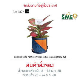 ต้นอัญมณี x เสื่อ PDM ลาย Avalon indigo-orange (สีคราม-ส้ม) - ปักกิ่งดี