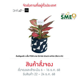 ต้นอัญมณี x เสื่อ PDM ลาย Stride black-white (สีขาว-ดำ) - ปักกิ่งดี