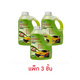 เมล่อน