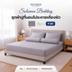 เทา/ริ้ว