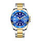 Gold/Blue