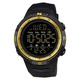 Black/Gold