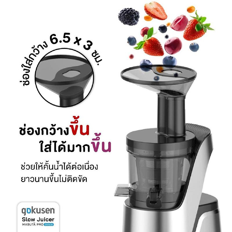 Gokusen เครื่องสกัดน้ำผักผลไม้แยกกาก 3 in 1 รุ่น Masuta Pro GS500