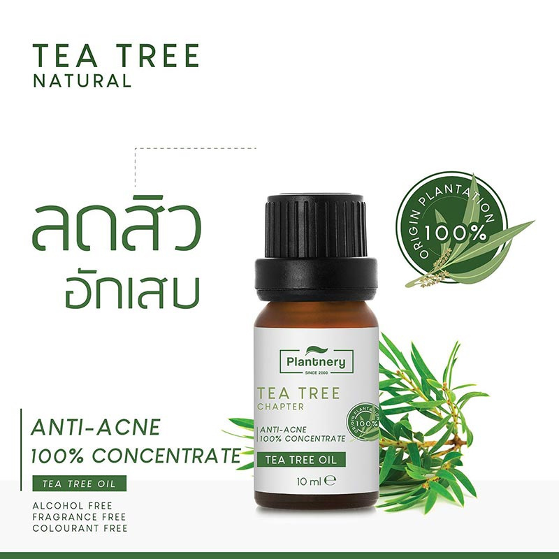 Plantnery น้ำมันทีทรีเข้มข้น Tea Tree Oil Acne Spot 10มล.