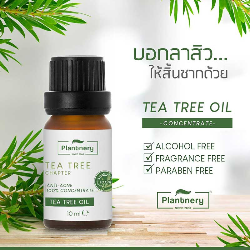 Plantnery น้ำมันทีทรีเข้มข้น Tea Tree Oil Acne Spot 10มล.