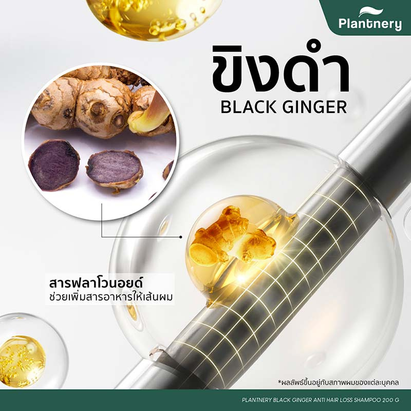 Plantnery แชมพูสำหรับผมขาดหลุดร่วง Black Ginger Anti-Hair Loss Intensive Shampoo 200 กรัม