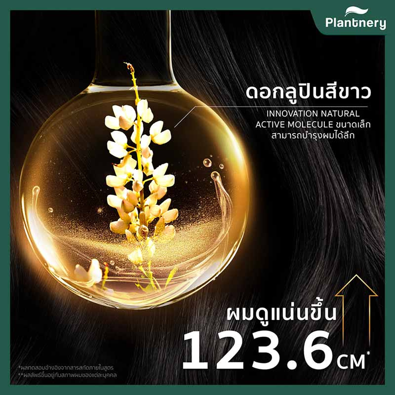 Plantnery แชมพูสำหรับผมขาดหลุดร่วง Black Ginger Anti-Hair Loss Intensive Shampoo 200 กรัม