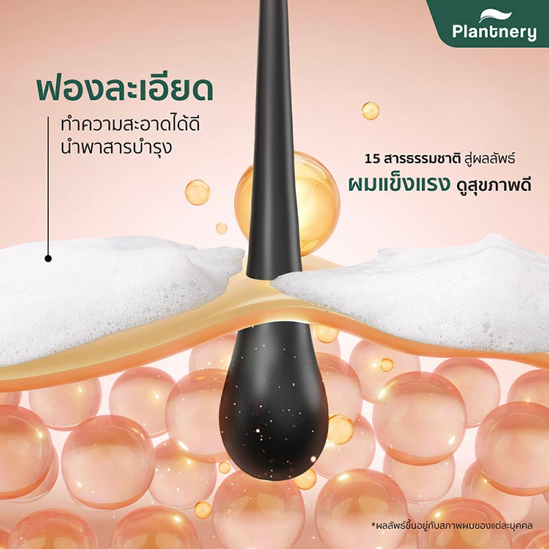 Plantnery แชมพูสำหรับผมขาดหลุดร่วง Black Ginger Anti-Hair Loss Intensive Shampoo 200 กรัม