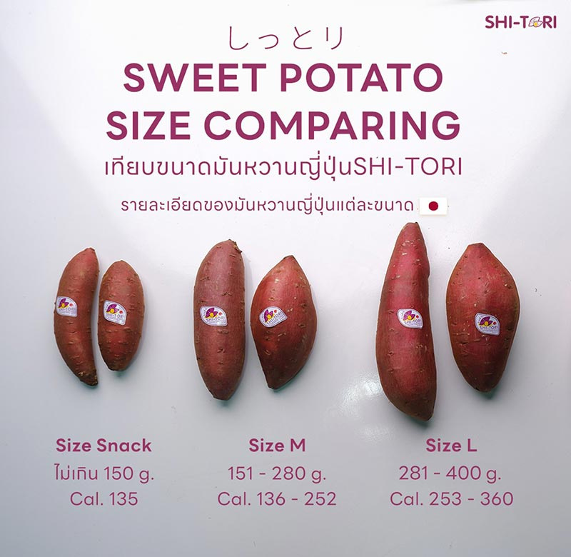 Shi-tori มันหวานญี่ปุ่น สายพันธุ์เบนิฮารุกะ Size Snack