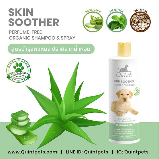 Quint แชมพูผสมครีมนวด SKIN SOOTHER 515 ml.