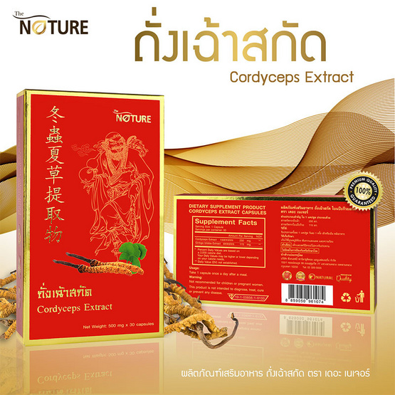 The Nature Cordyceps Extract - Ginkgo Extract ถั่งเฉ้า และใบแปะก๊วยสกัด บรรจุ 30 แคปซูล