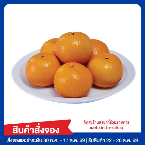 ชุดโชคลาภ ส้มมงคล 1 กก.