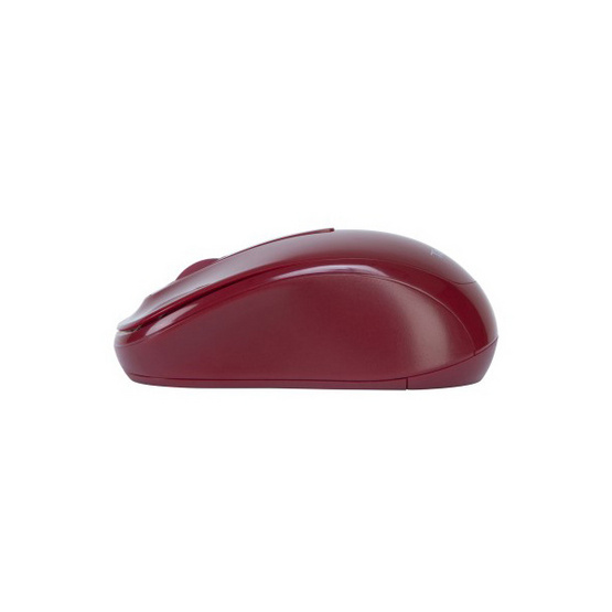 Targus Wireless Optical Mouse W600