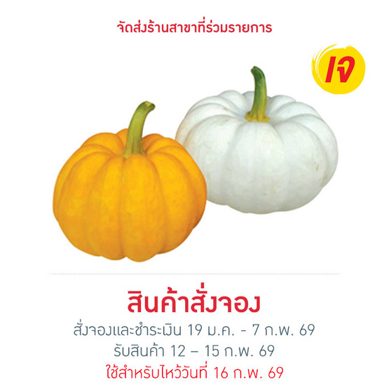 ชุดฟักทองแฟนซี 400 กรัม