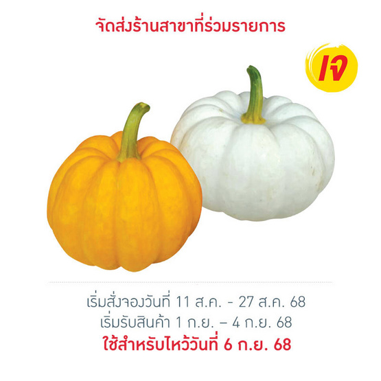 ชุดฟักทองแฟนซี 400 กรัม ชุดฟักทองแฟนซี 400 กรัม