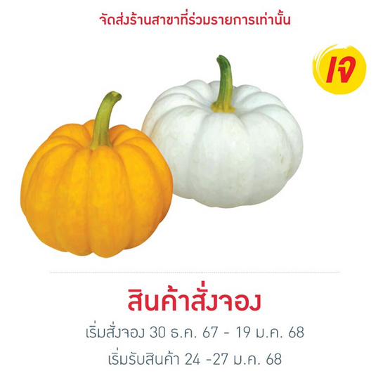 ชุดฟักทองแฟนซี 400 กรัม