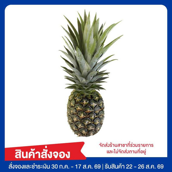 ชุดเฮง เฮง สับปะรดมงคล 600 กรัม