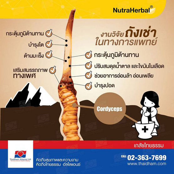 Nutraherbal ถังเช่าผสมสารสกัดจากเห็ดหลินจือ 30 แคปซูล 1 กระปุก