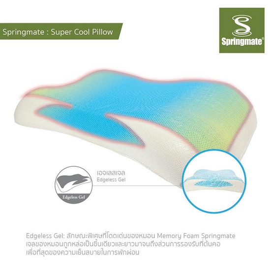 Springmate หมอนเมมโมรี่โฟม Super Cool Pillow