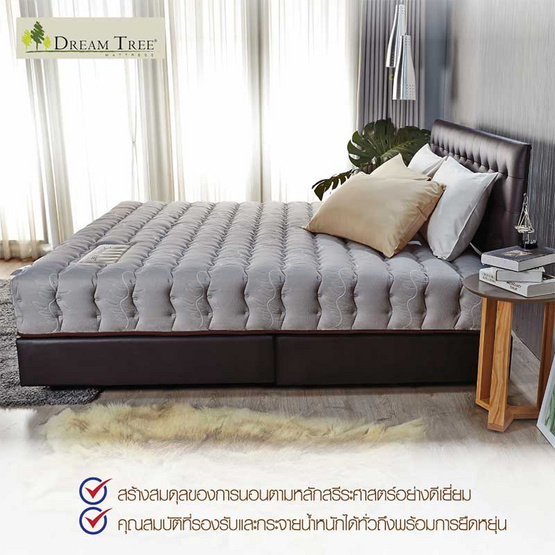 Satin Dream Tree ที่นอน รุ่น DAHLIA Design ที่นอนไร้ขอบ